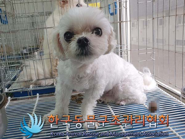한국동물구조관리협회_411303202300230